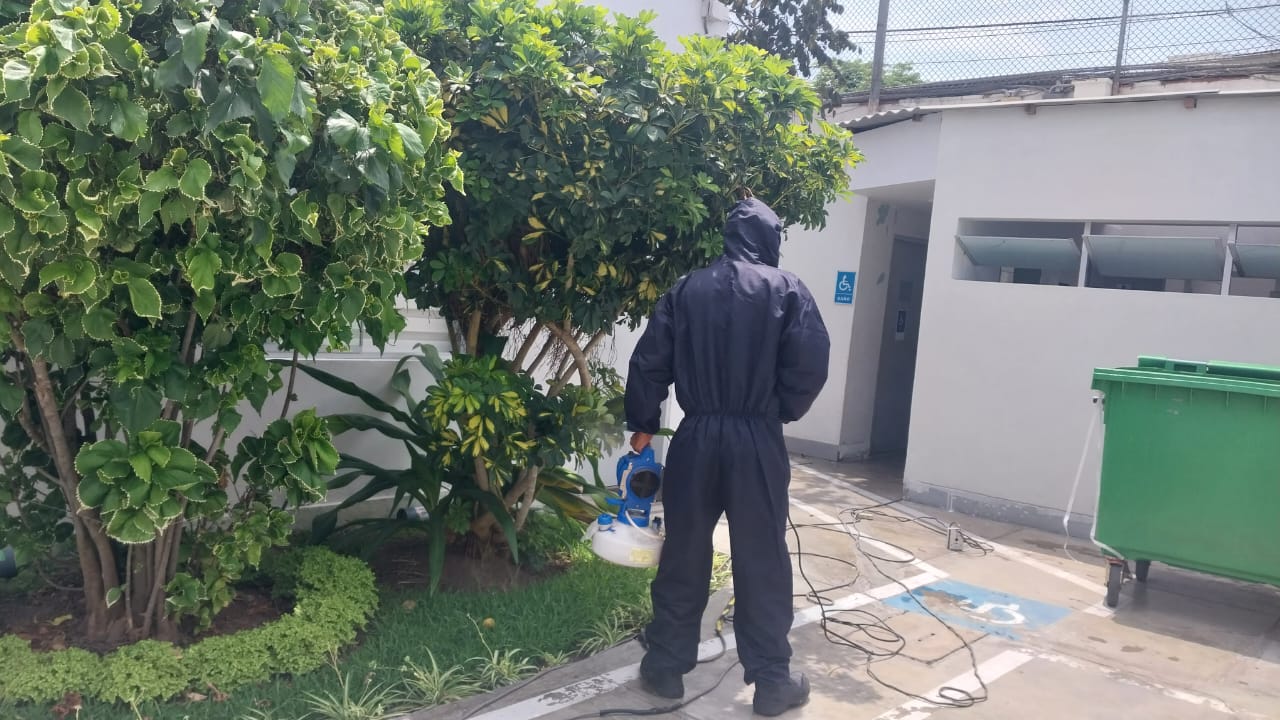 JARDINERÍA  Y MANTENIMIENTO DE ÁREAS VERDES